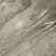 辽核1号核桃苗1~2年100~150cm