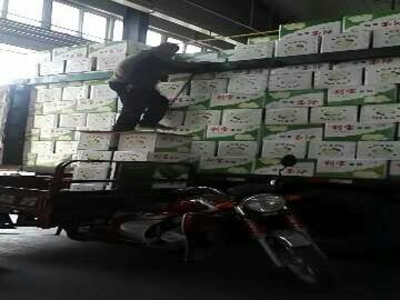 皇冠梨纸袋250~300g