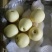 皇冠梨纸袋250~300g