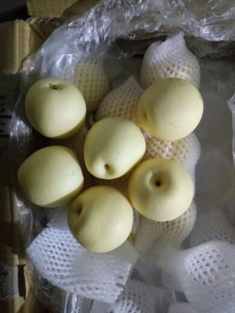皇冠梨纸袋250~300g