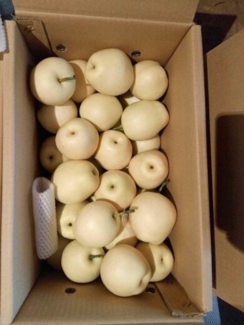 皇冠梨纸袋250~300g