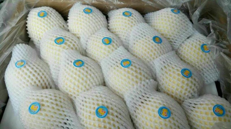 皇冠梨纸袋250~300g