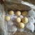 皇冠梨纸袋250~300g