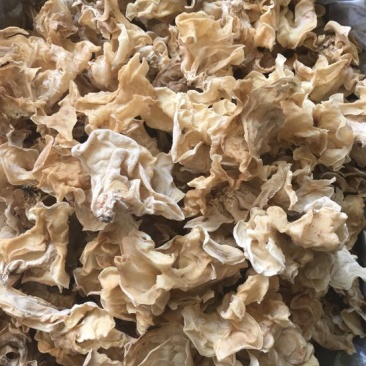 玉木耳特级