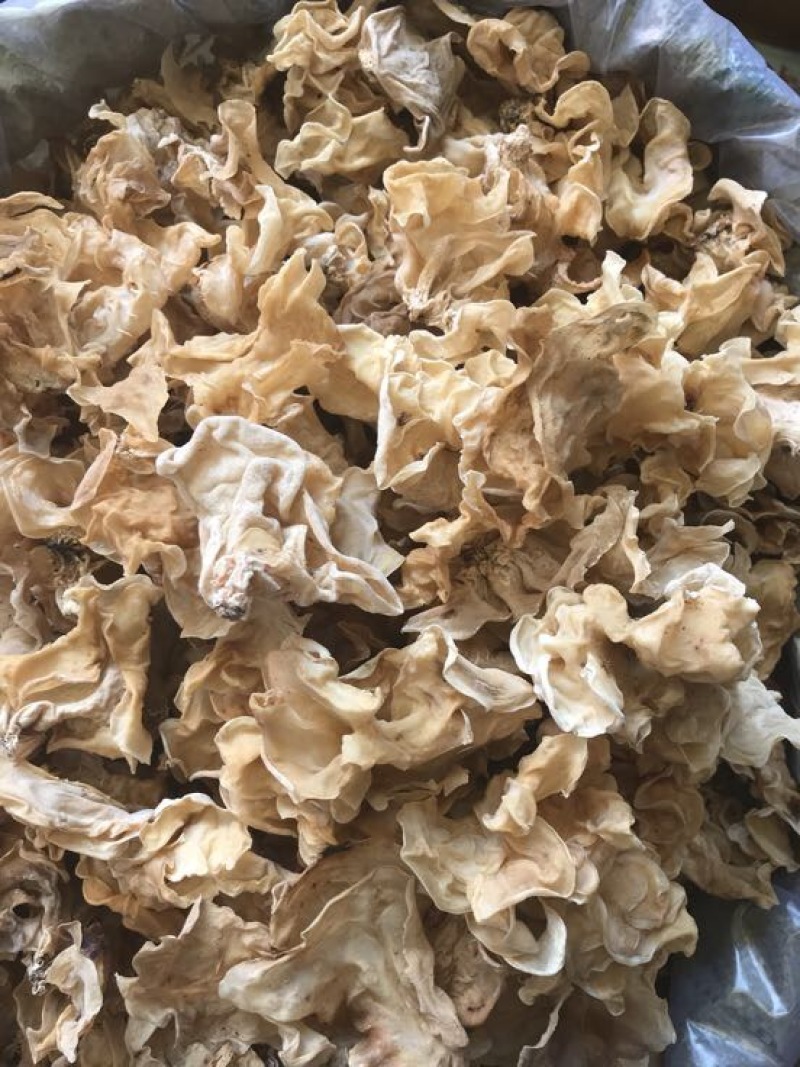 玉木耳特级