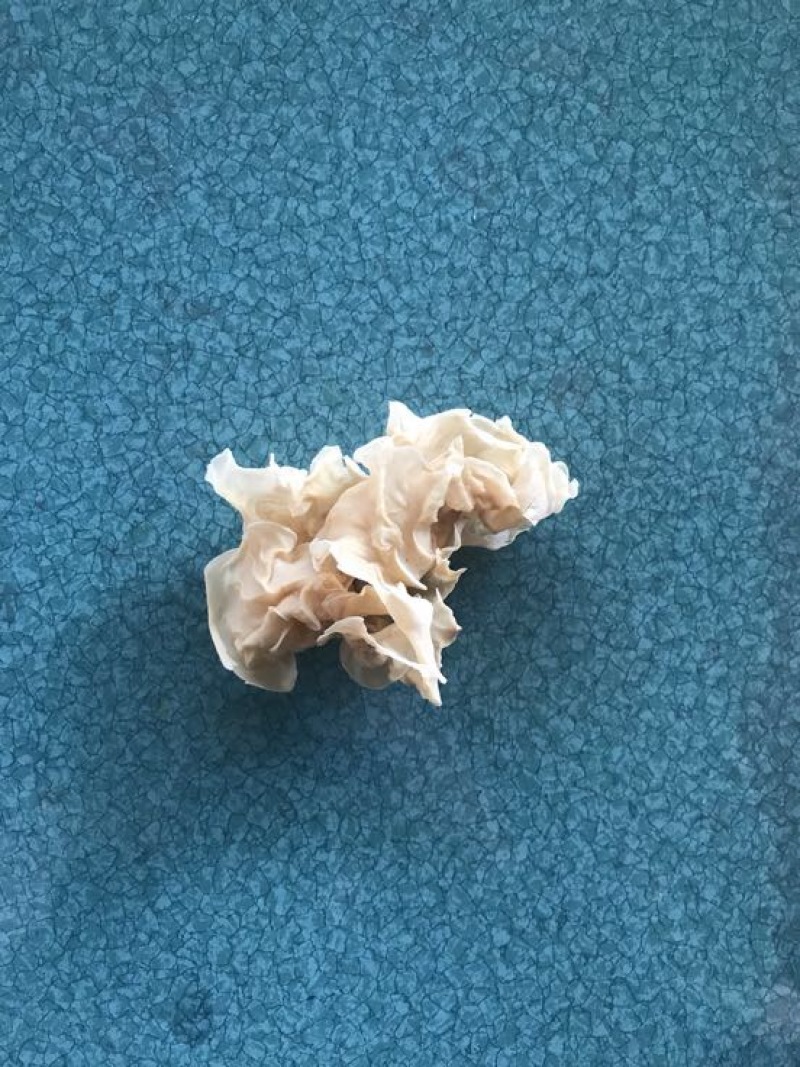玉木耳特级