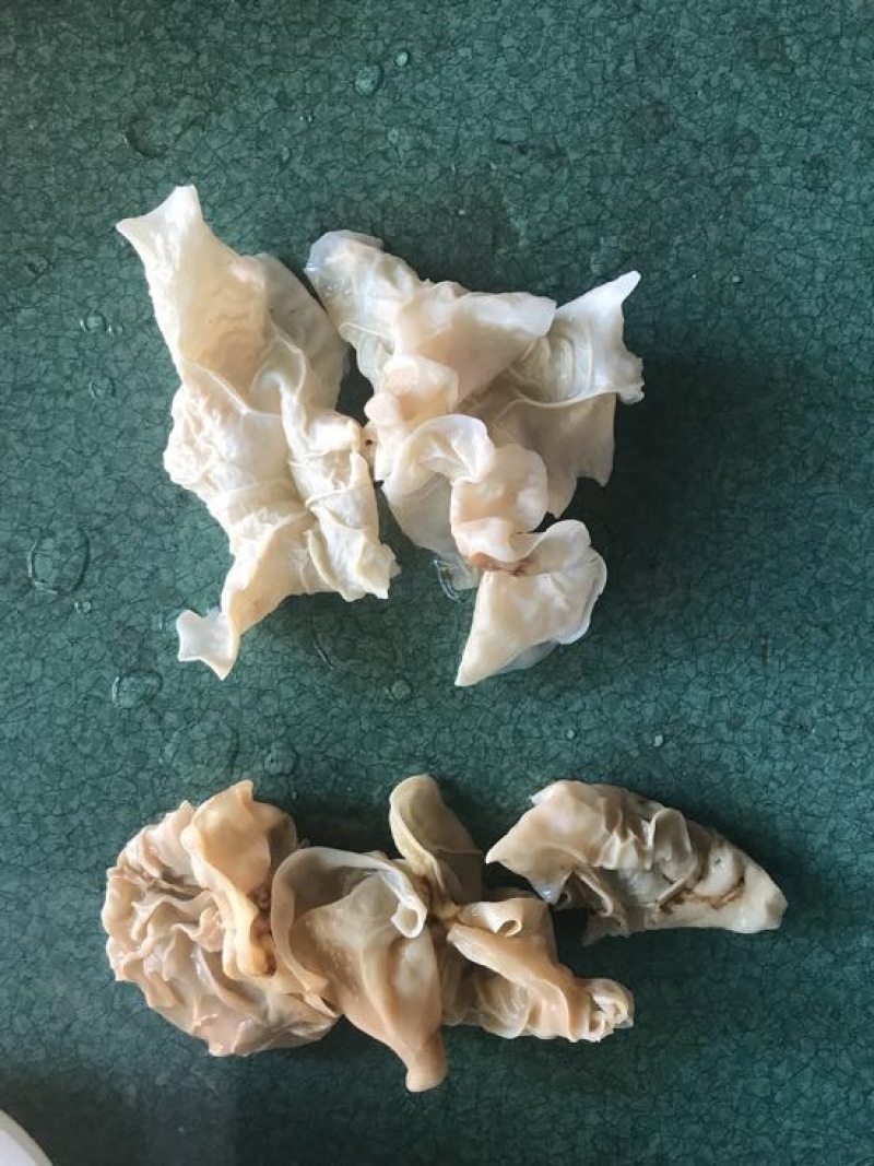 玉木耳特级