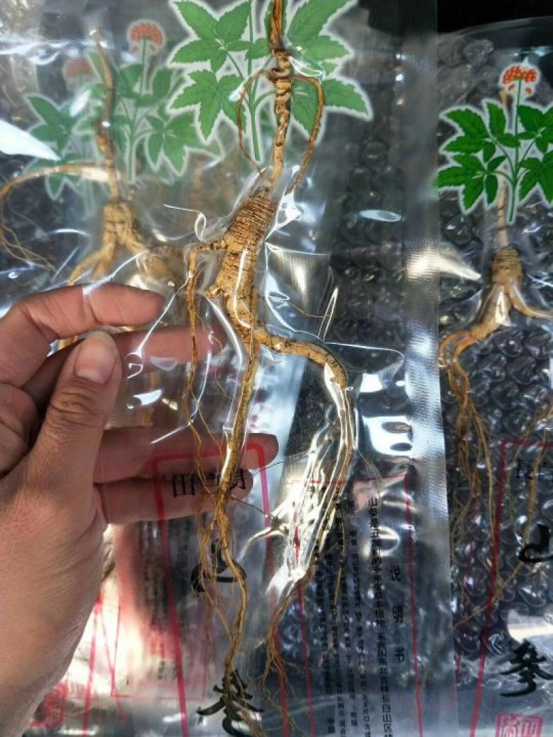 林下参高年头三指长卢煲汤泡水泡酒都可以