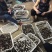 黑皮鸡枞栽培种