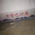 巴沙鱼