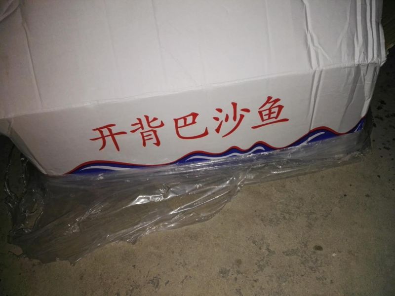 巴沙鱼
