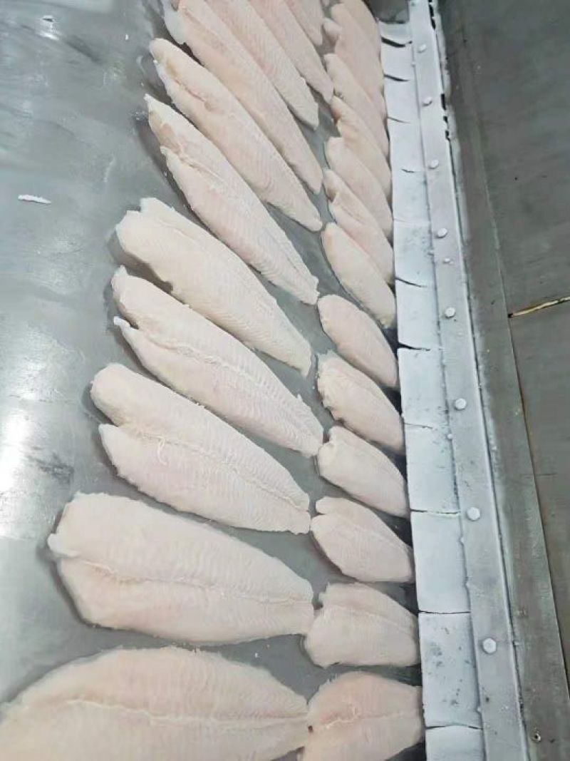 巴沙鱼