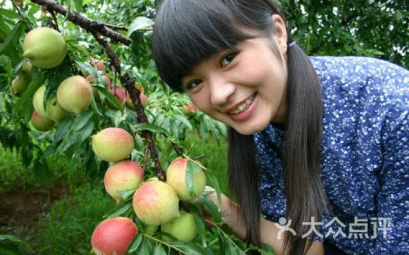 鹰嘴蜜桃60mm以上