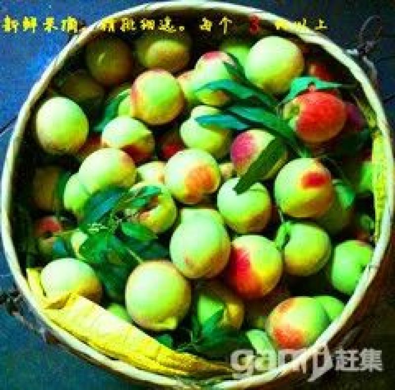 鹰嘴蜜桃60mm以上