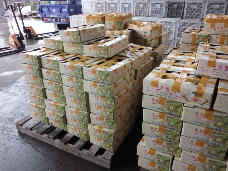 纸箱加重东方蜜纸箱甜瓜蔬菜纸箱定做加工接单中