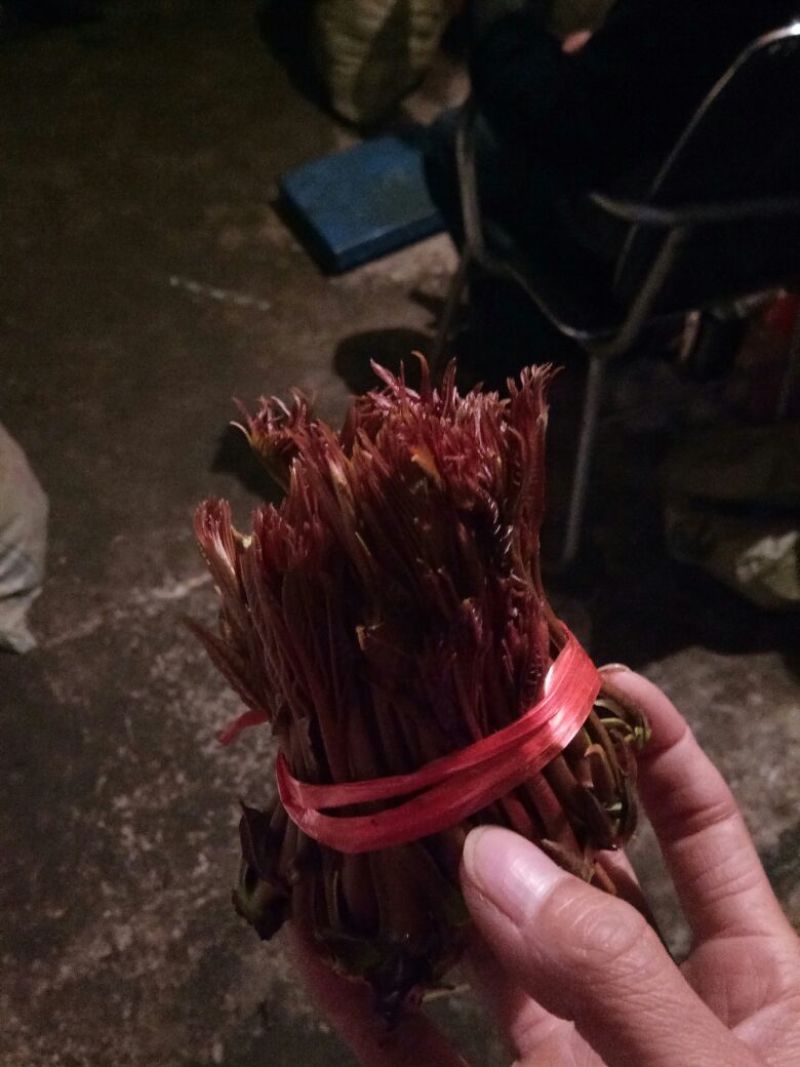 和众椿业，基地红香椿。精品包装全国直销保障售后