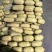 莲藕37355~7厘米5~10厘米以上