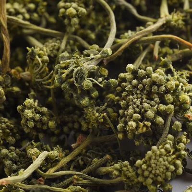 【养生凉茶】长白山人参花西洋参花非三七大花蕾8年野生泡水