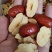 红枣圈灰枣枣圈厂家批发大量现货