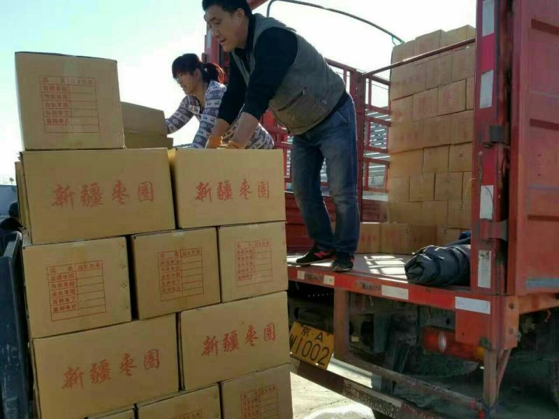 红枣圈灰枣枣圈厂家批发大量现货