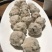 鱼丸