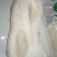 粉丝绿豆粉，豌豆勾芡