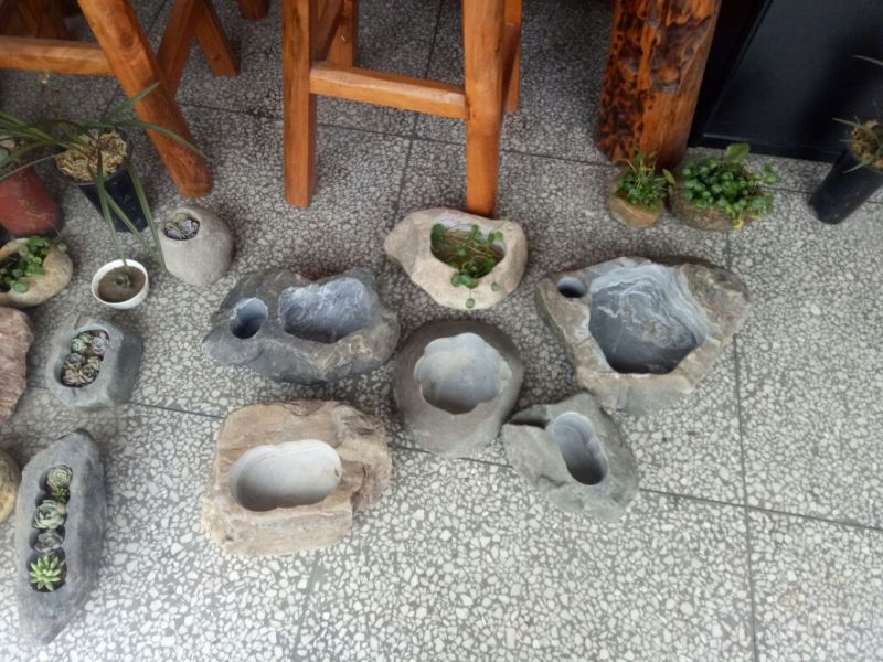 花盆