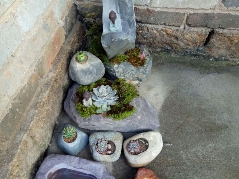 花盆