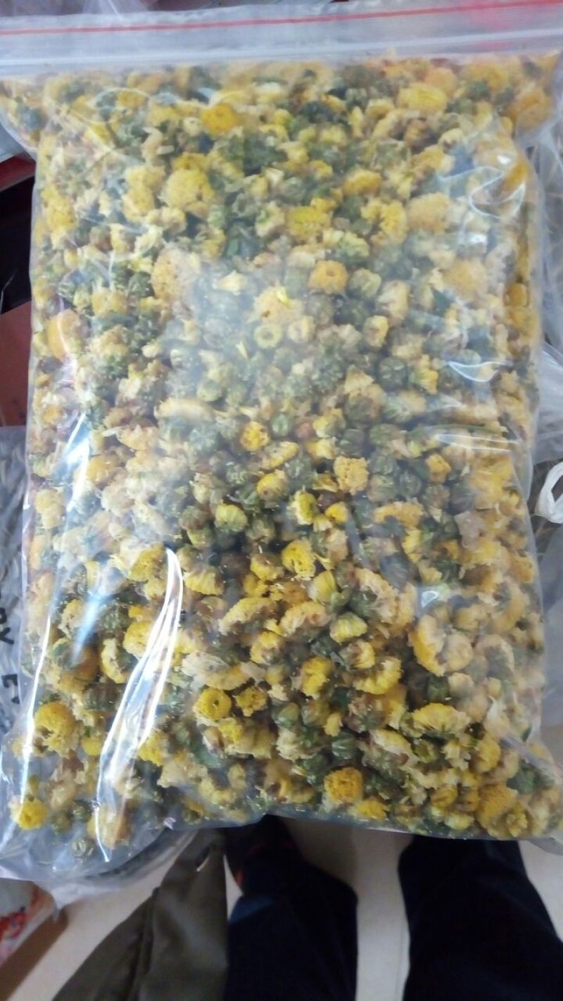 杭白菊罐装