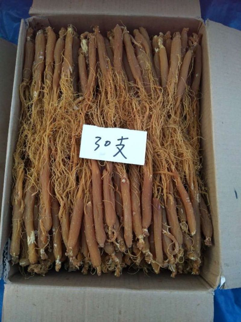 【荐】六年特制无糖红参长白山非有糖红参500克包邮
