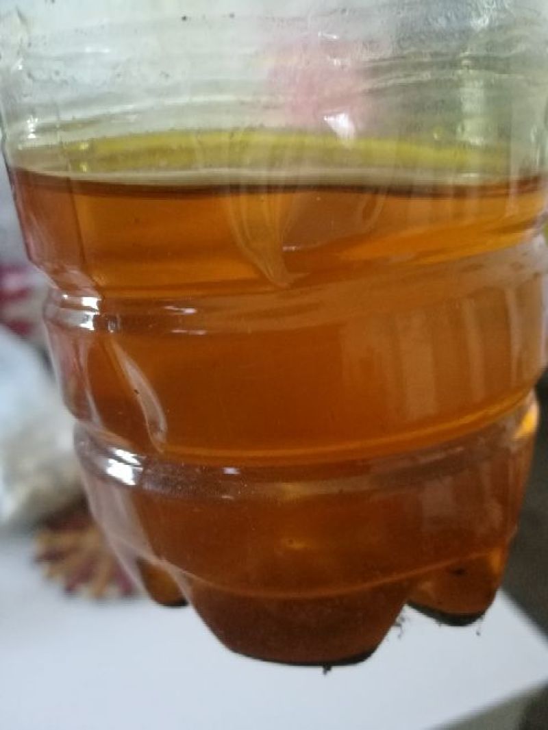 油菜籽2级