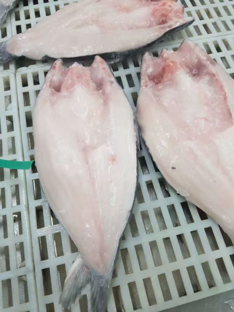 巴沙鱼