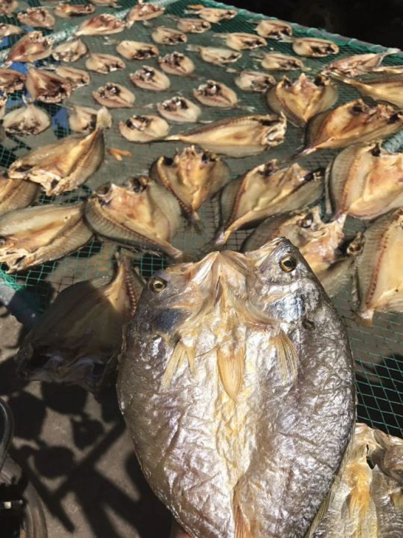 红虾干干货大全