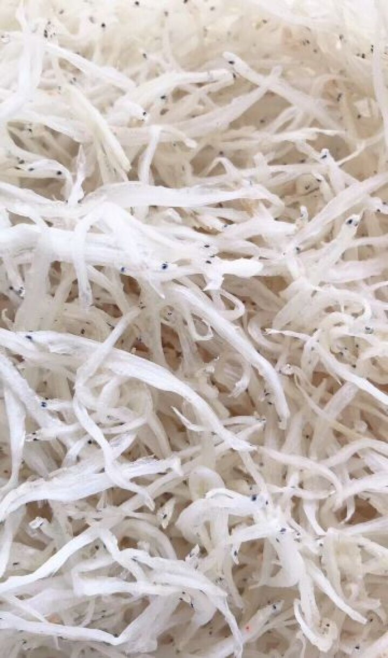红虾干干货大全