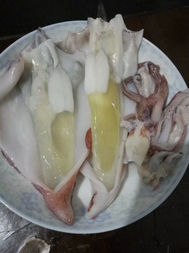 墨鱼仔海鲜批发