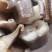 墨鱼仔海鲜批发