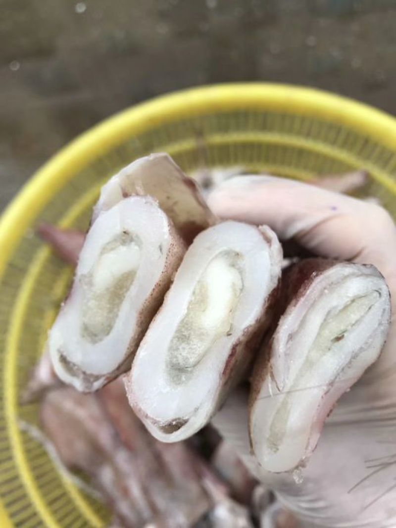 墨鱼仔海鲜批发