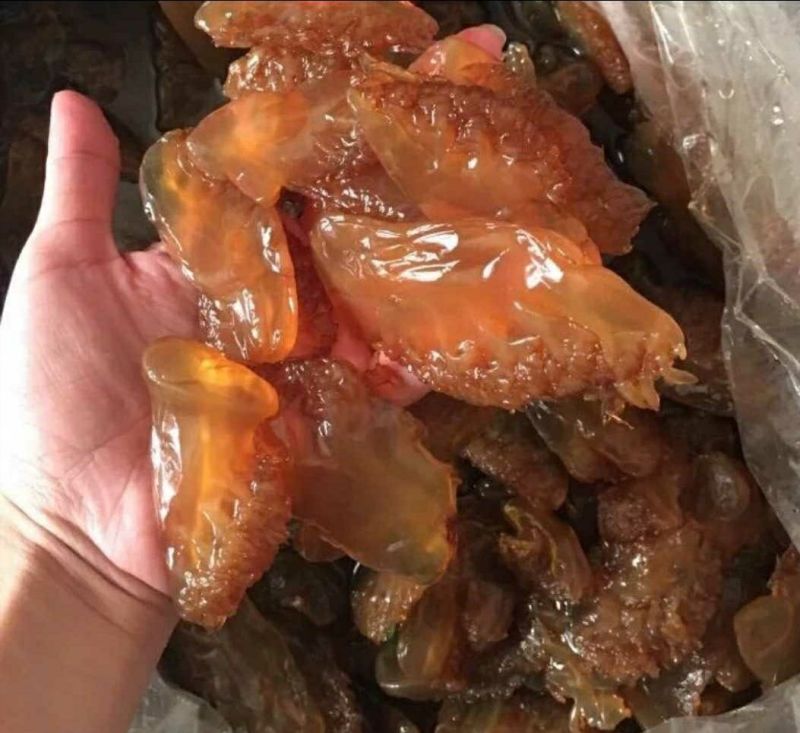 墨鱼仔海鲜批发