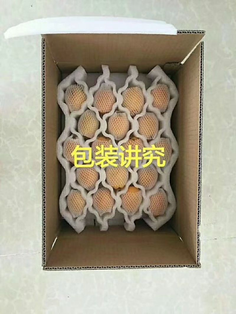闽南早中枇杷0.8~1两