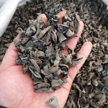 黑木耳一级