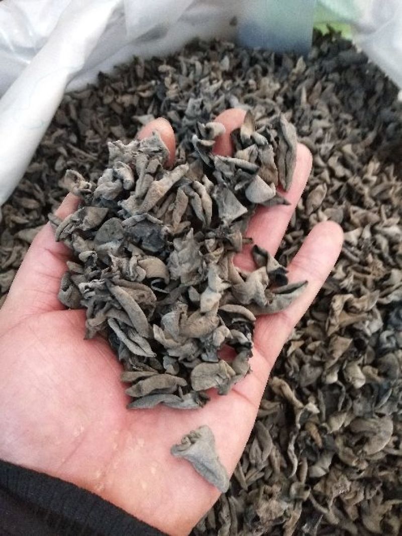 黑木耳一级