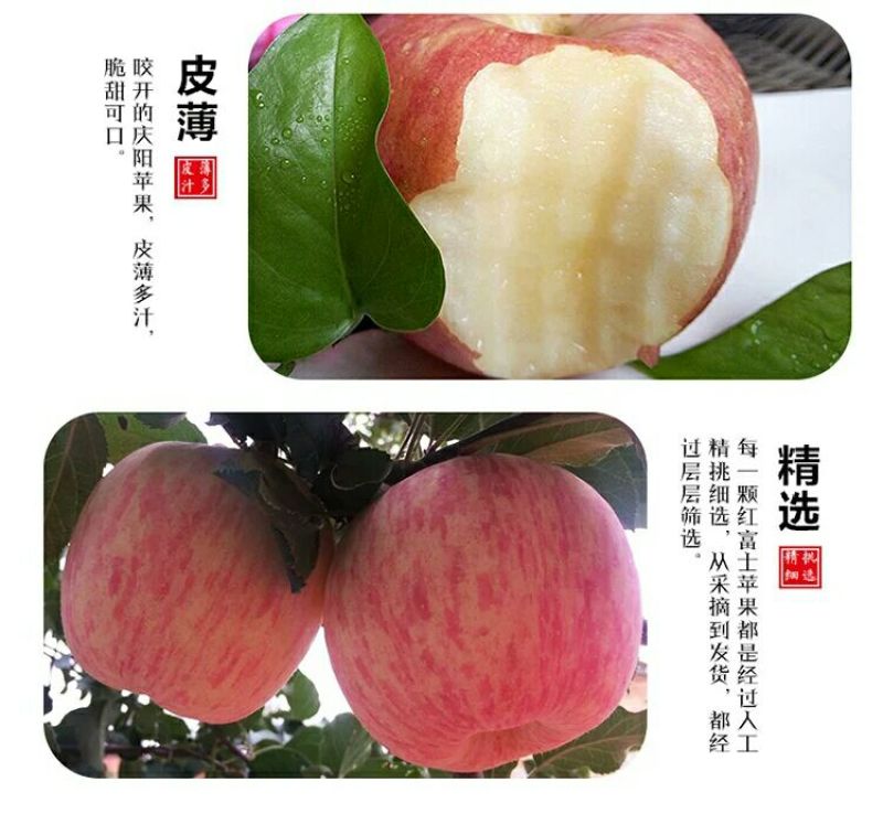苹果庆阳红富士冰糖心苹果一件代发阿克苏