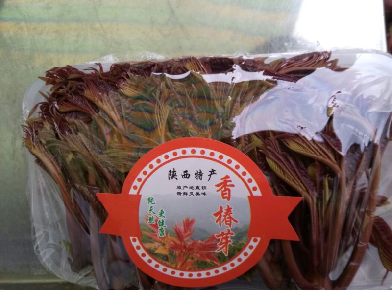 产地代发云南山西红香椿山西香椿产地直发全国大棚香椿芽陕西