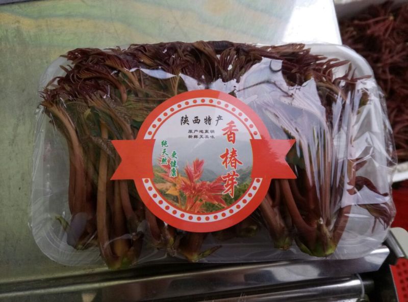 产地代发云南山西红香椿山西香椿产地直发全国大棚香椿芽陕西