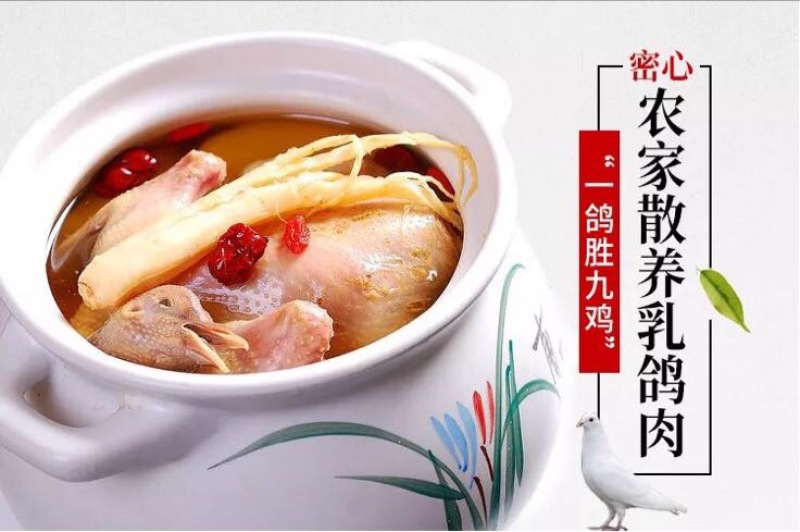 冰冻乳鸽白条鸽乳鸽白条
