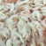 虾皮特级