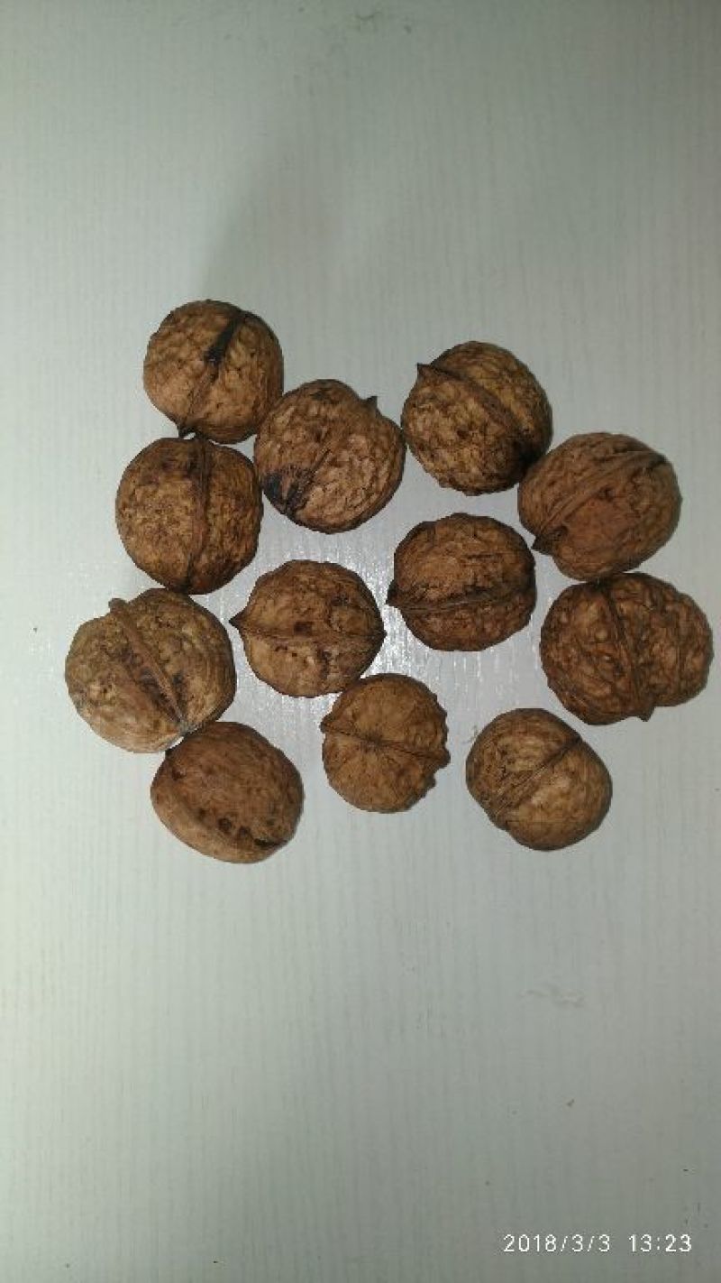 山核桃去皮25~30mm干