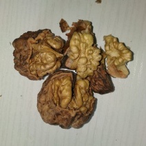 山核桃去皮25~30mm干