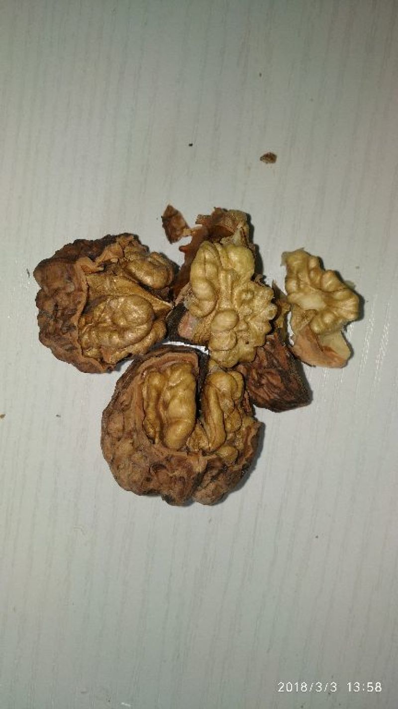 山核桃去皮25~30mm干