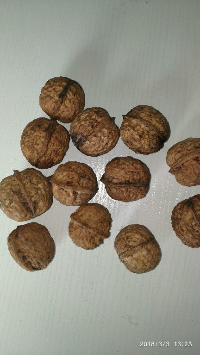 山核桃去皮25~30mm干